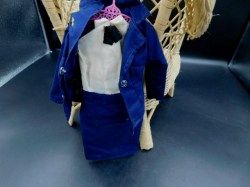 cher blue suit view
